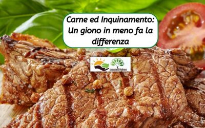 Carne ed inquinamento per un Europeo