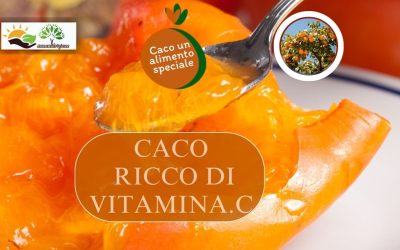 Cachi una pianta colorata per la salute