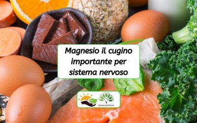 Magnesio il cugino importante per sistema nervoso