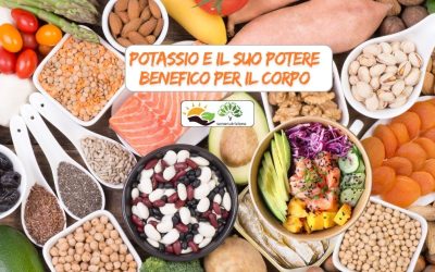 Potassio e il suo potere benefico per il corpo