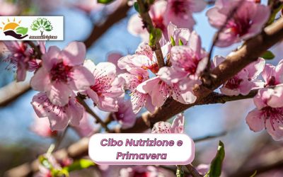 Cibo Nutrizione e Primavera