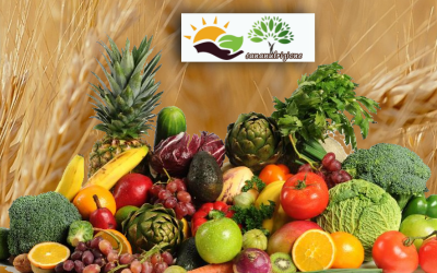 Bio o non bio frutta e verdura al naturale o con