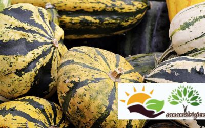 Zucca e minerali