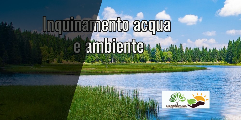 Inquinamento acqua e ambiente