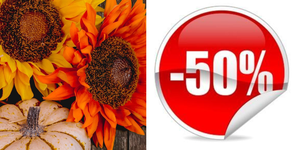 SCONTO 50%