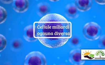 La cellula la base della vita animale