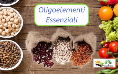 Oligoelementi o elementi traccia