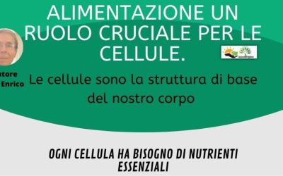 Alimentazione un ruolo cruciale per le cellule.