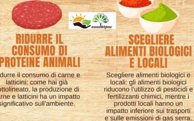 5 modi per ridurre L’inquinamento ambientale con alimentazione e…