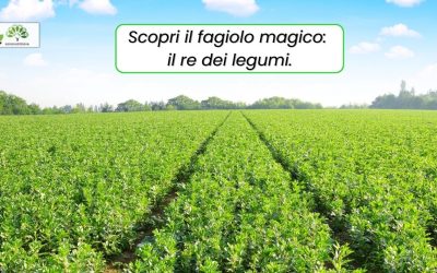 Scopri il Fagiolo Magico: il Re dei Legumi.