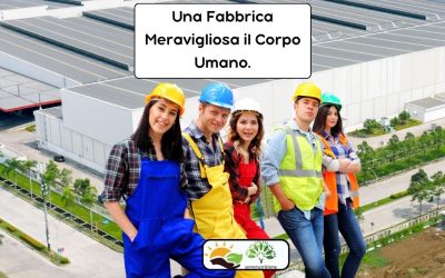 Una Fabbrica Meravigliosa il Corpo Umano.