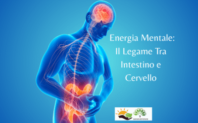 Energia Mentale: Il Legame Tra Intestino e Cervello