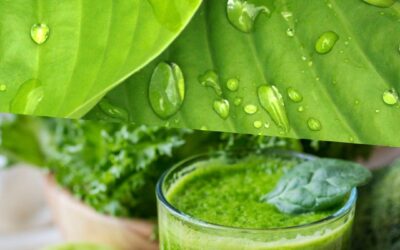 Quanto vale il Verde per benessere fisico